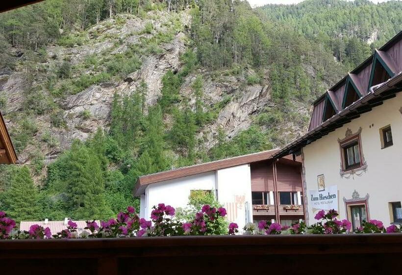 Апартаменты 1 Спальня, Ondres'n Hof