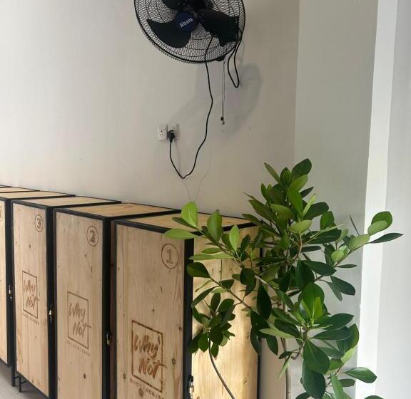 共用房间的床, Why Not Mansion