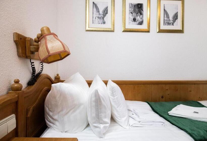 스탠다드 싱글 룸, Zum See, Titisee