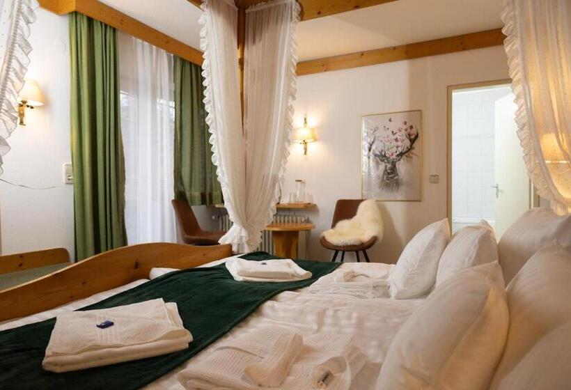 스탠다드 발코니 룸, Zum See, Titisee