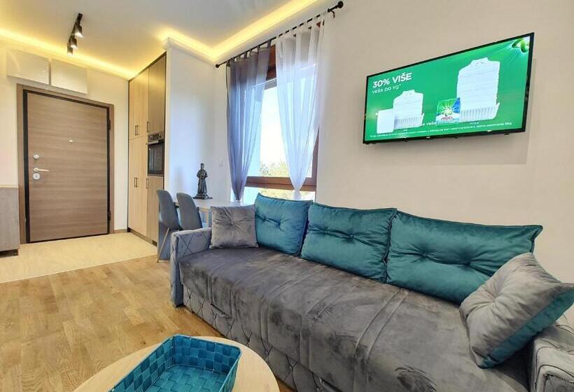 استودیوی لوکس, Velika Recepcija Cc Magnet