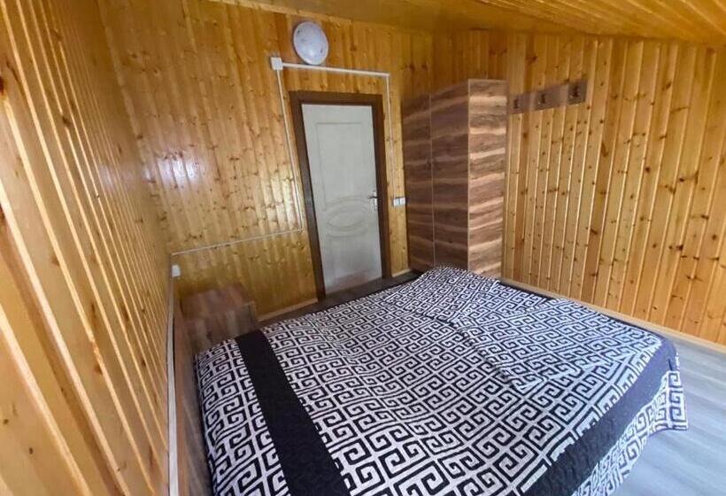 اتاق استاندارد یک نفره, Mtirala Hotel Zipo