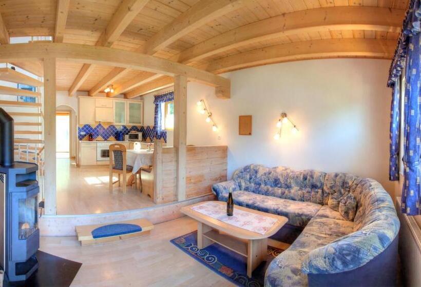 آپارتمان سوپریور 2 خوابه, Ferienhaus Christina & Haus Dr. Krainer