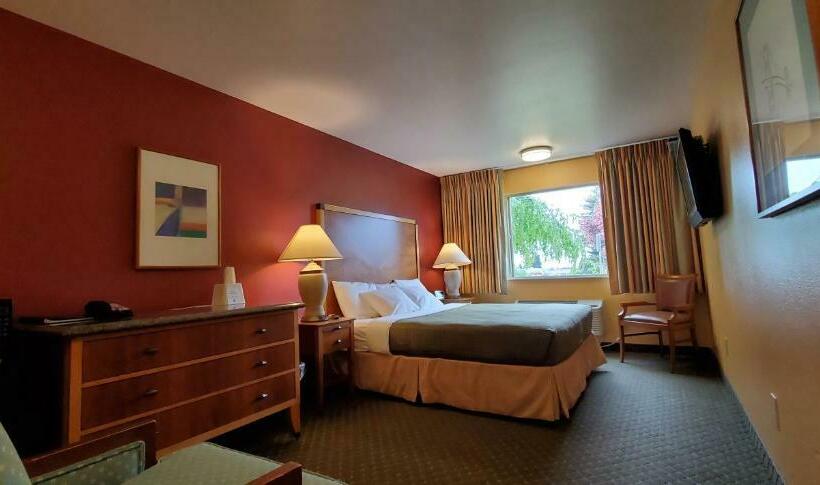스탠다드 룸 킹사이즈 침대, Olympic View Inn