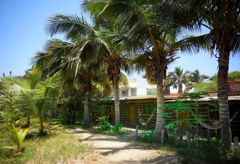 اتاق یک تخته با چشم‌انداز باغ, Casa Tito Máncora   Bungalow Privado
