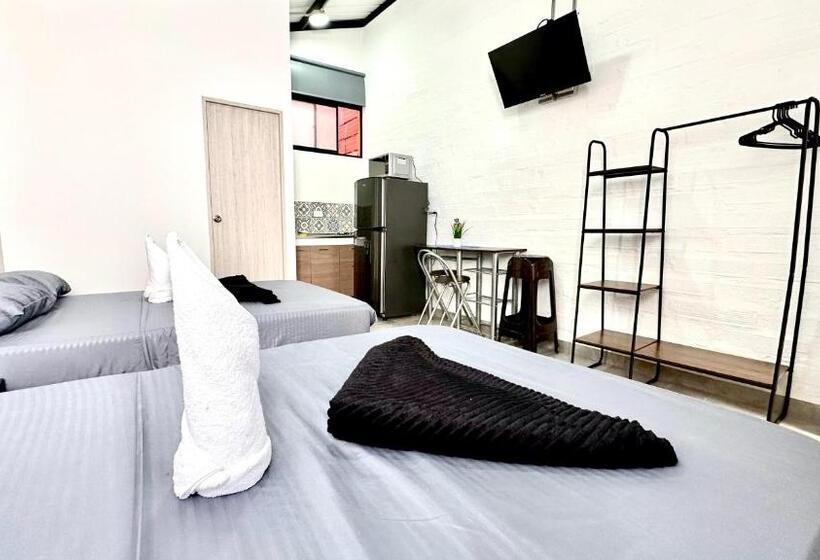 استودیوی استاندارد, Sinu Loft
