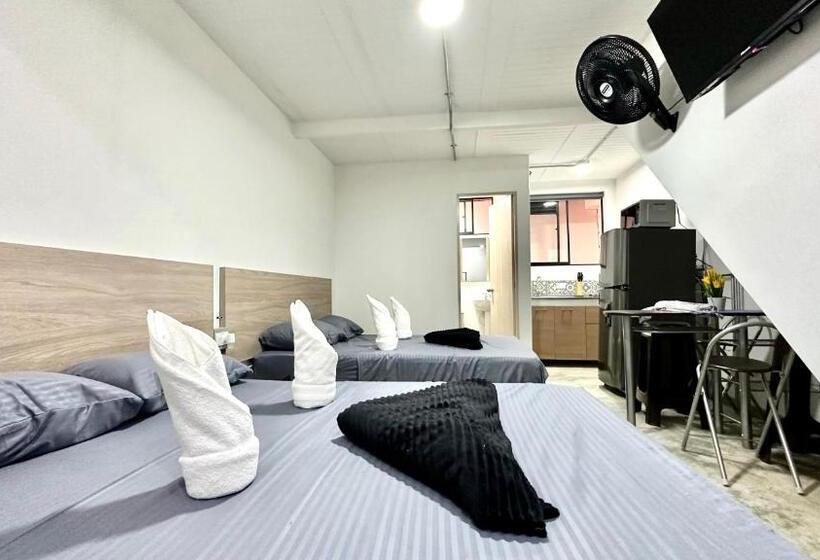 استودیوی استاندارد, Sinu Loft