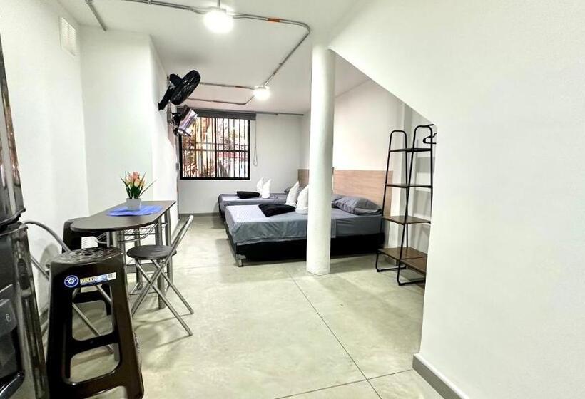 استودیوی استاندارد, Sinu Loft