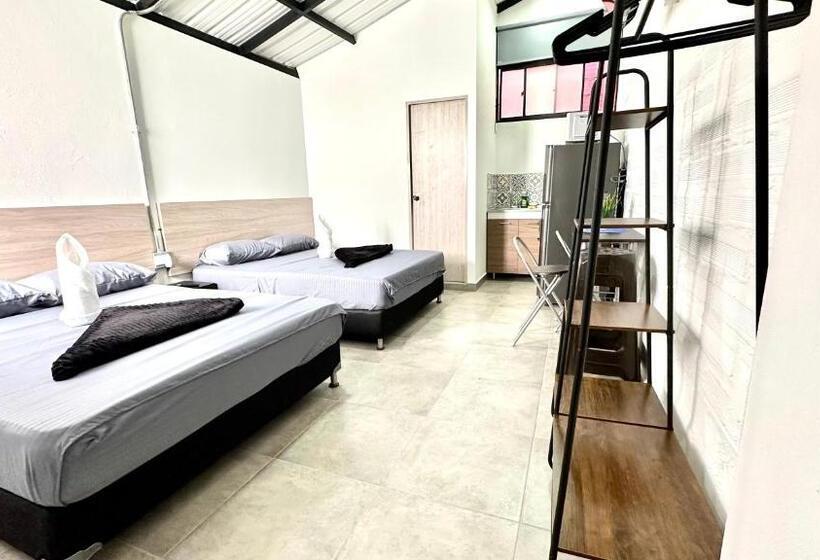 استودیوی استاندارد, Sinu Loft
