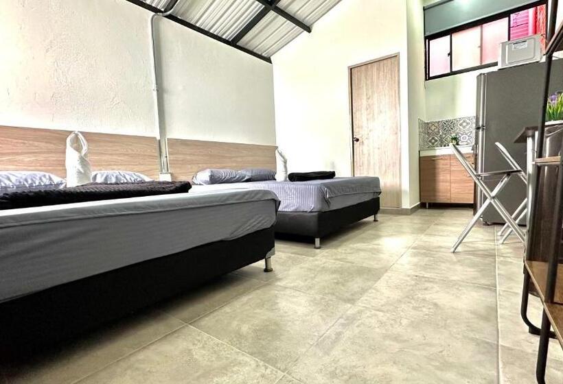 استودیوی استاندارد, Sinu Loft