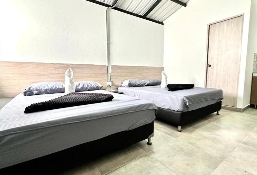 استودیوی استاندارد, Sinu Loft