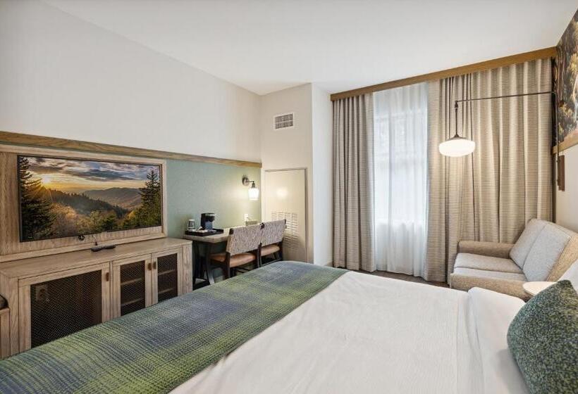 带大床的标准间, Dollywood S Heartsong Lodge & Resort