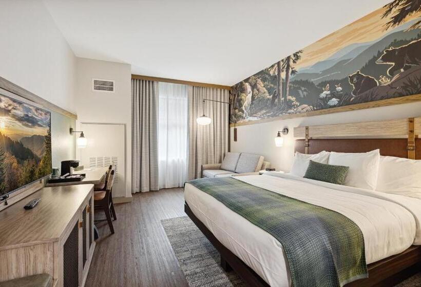 带大床的标准间, Dollywood S Heartsong Lodge & Resort