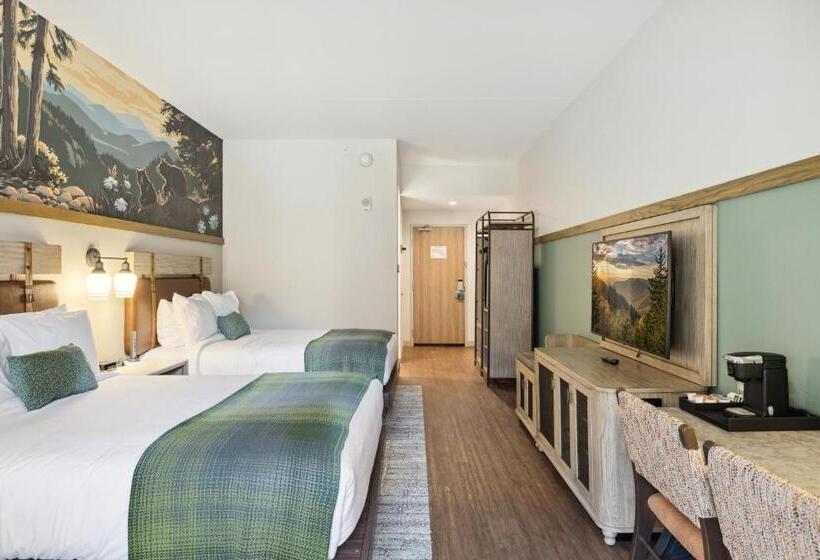 残疾人使用的带特大床的标准间, Dollywood S Heartsong Lodge & Resort