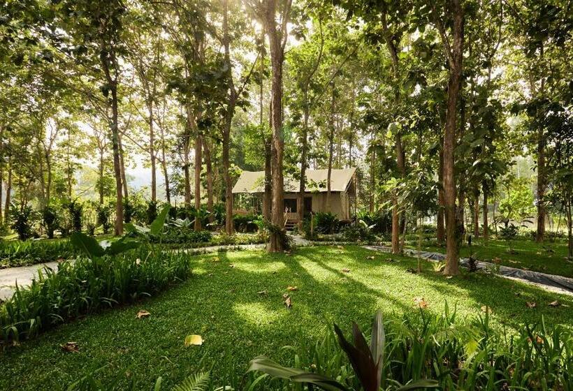 Family Suite, Visama Mae Chan