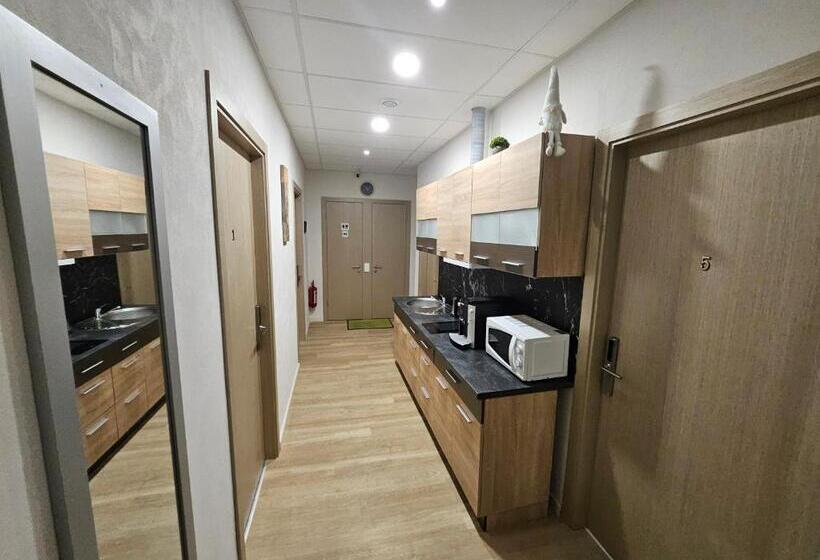 اتاق استاندارد با سرویس بهداشتی مشترک, Kauno Apartamentai