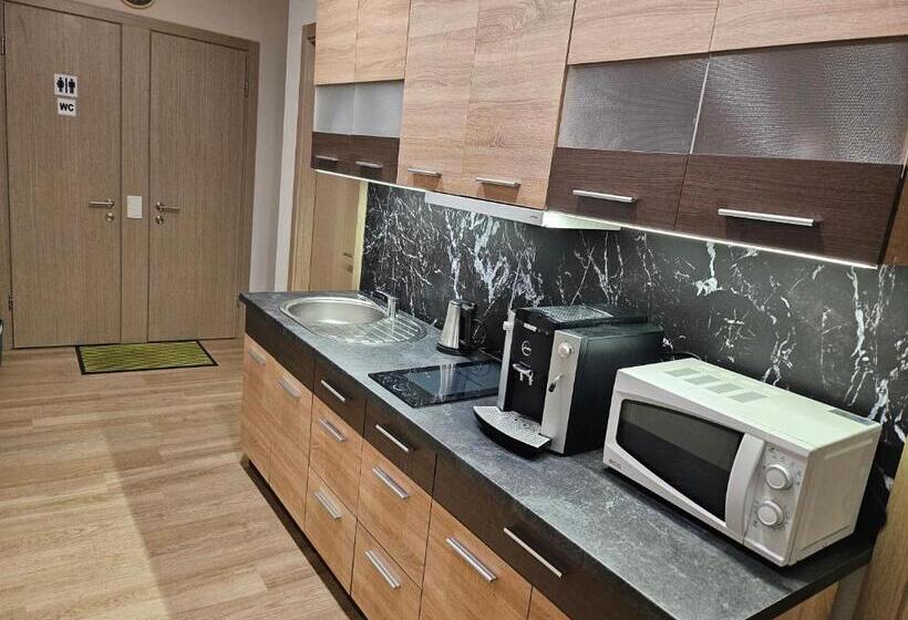 اتاق استاندارد با سرویس بهداشتی مشترک, Kauno Apartamentai