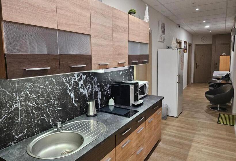 اتاق استاندارد با سرویس بهداشتی مشترک, Kauno Apartamentai