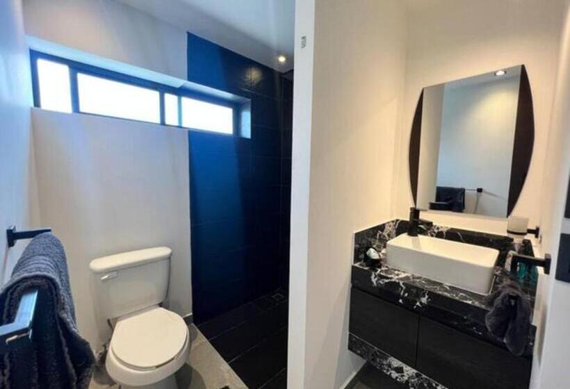 استودیوی استاندارد, San Rafa  Home Office Suites