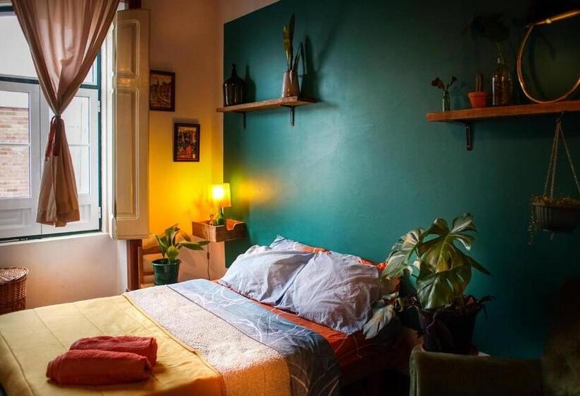 Номер Стандарт Совместная Ванная, Oliva Guesthouse