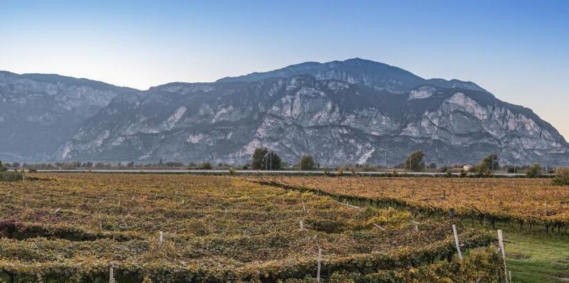 스탠다드 룸 산 전망, Agriturismo Sicher