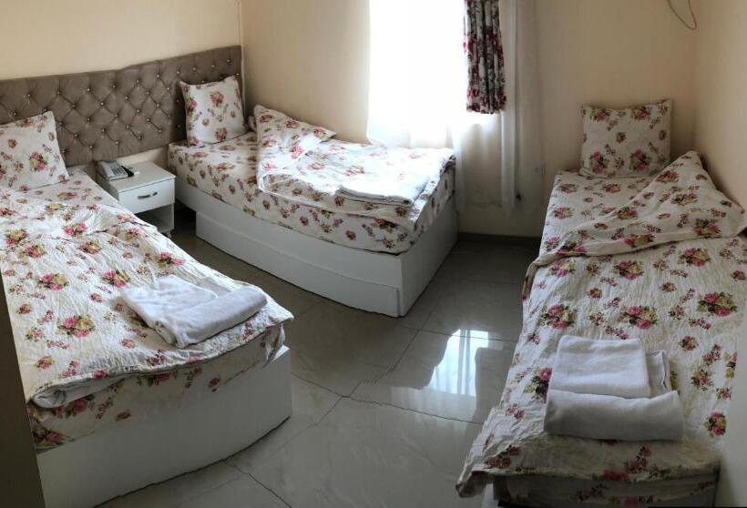 اتاق استاندارد سه نفره, Living