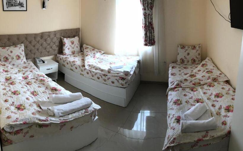 اتاق استاندارد سه نفره, Living