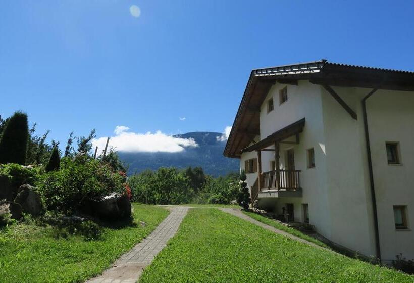 Апартаменты 1 Спальня, Winklerhof