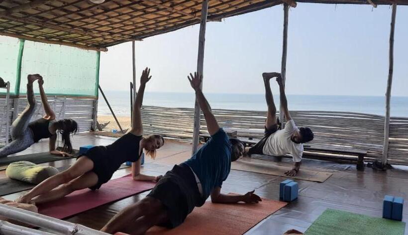 Номер Deluxe, Drishti Yoga International
