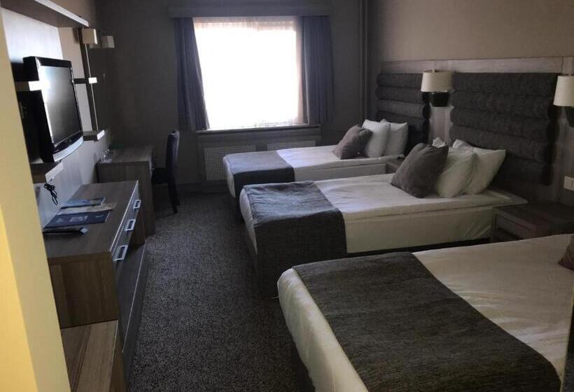 Номер Стандарт Трехместный, Grand Yazici Ski Hotel & Spa