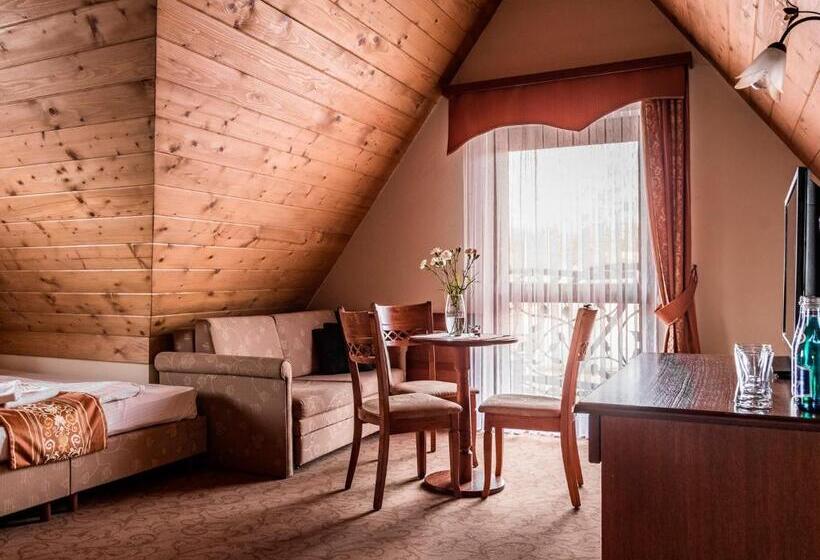 Семейный Номер, Villa Magnat Spa, Jacuzzi, Sauna, Tężnia Solankowa