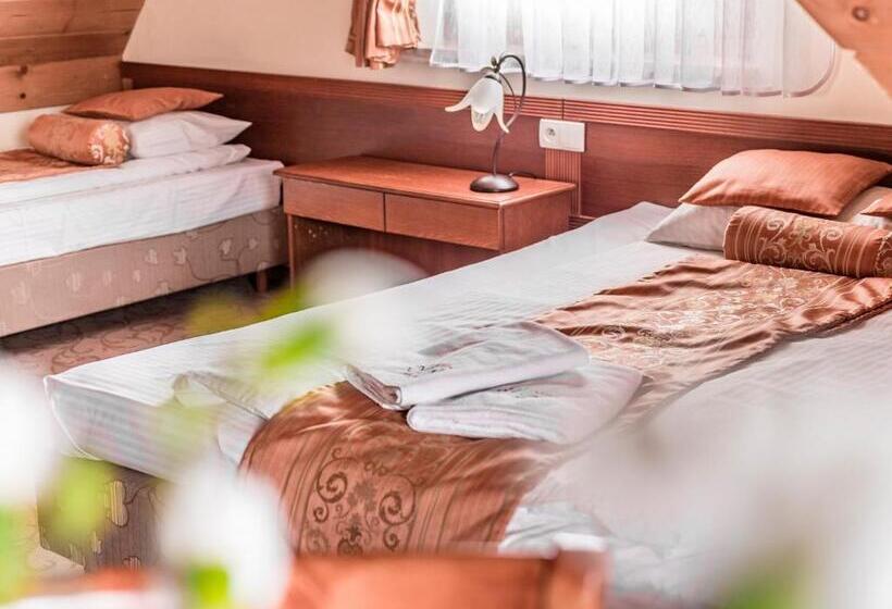 Семейный Номер, Villa Magnat Spa, Jacuzzi, Sauna, Tężnia Solankowa