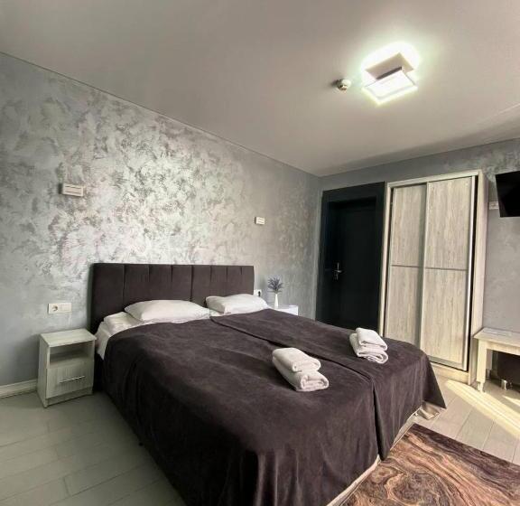 디럭스 트리플 룸, Spa Hotel Nachiku