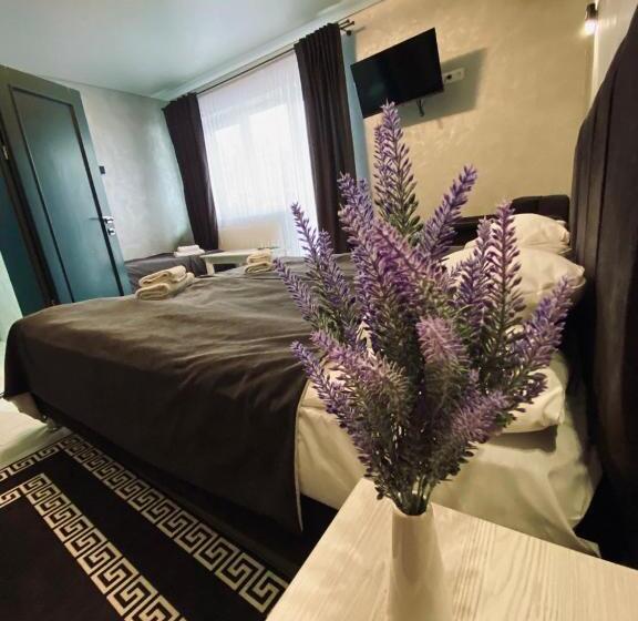 디럭스 트리플 룸, Spa Hotel Nachiku