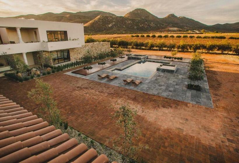 Suíte Presidencial, Flores De Sal Valle De Guadalupe