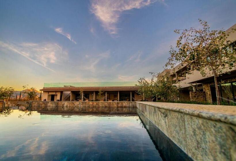 带大床的复式套间, Flores De Sal Valle De Guadalupe