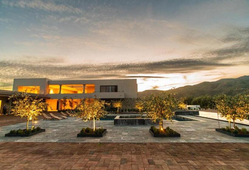 豪华房间, Flores De Sal Valle De Guadalupe