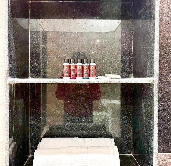 Family Suite, Vasudev Niwas