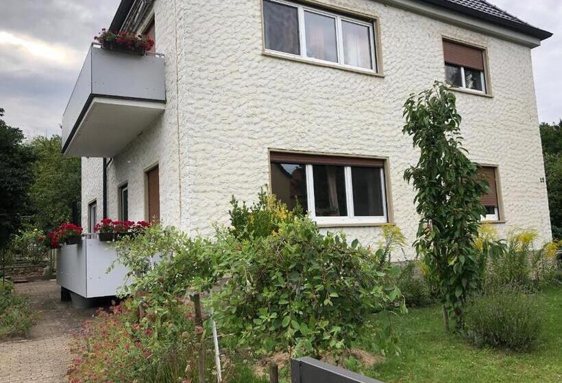 Апартаменты 2 Спальни, Rote Etage, Fränkisches Design, Süd Balkon In Nur 50 Schritten Zum Radweg