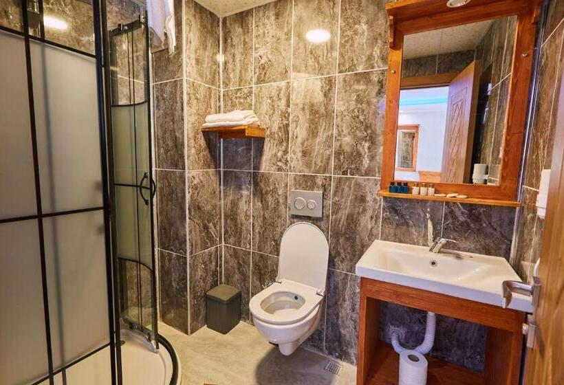 اتاق عادی, Sabina Hotel Near Grand Bazaar, City Center