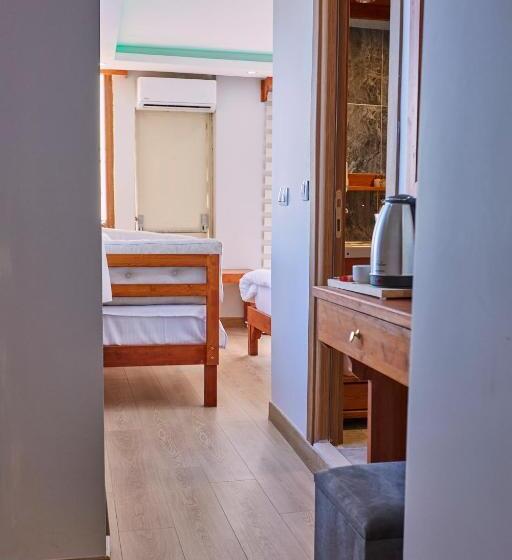 اتاق لوکس با چشم‌انداز دریا, Sabina Hotel Near Grand Bazaar, City Center