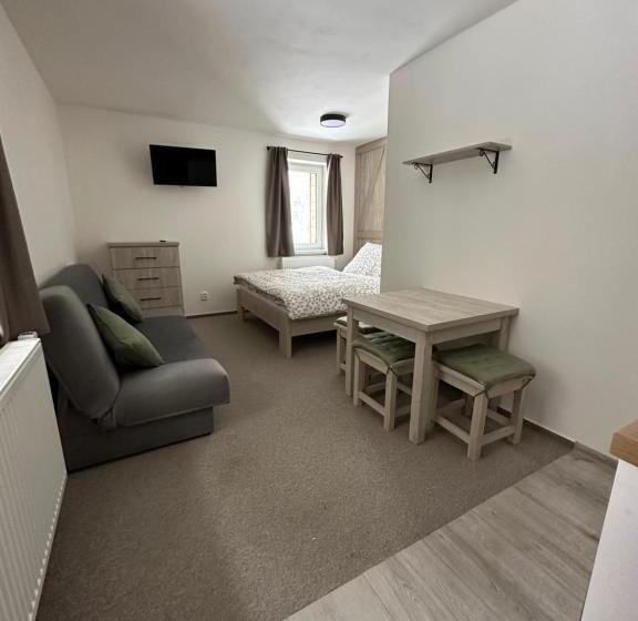 Студио Стандарт Кровать Кинг, Apartmány Vesna