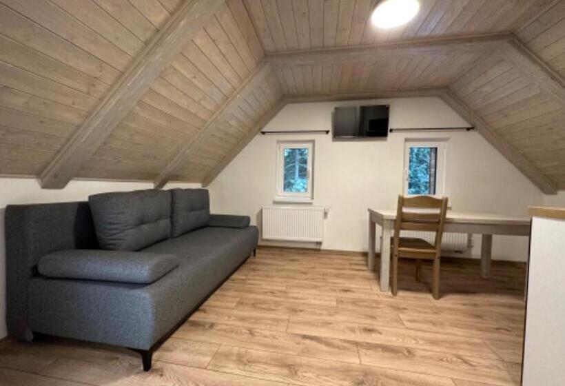 Апартаменты Deluxe 1 Спальня, Apartmány Vesna