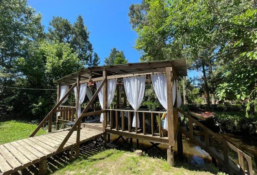 Студия Стандарт, Mostrotel   Tu Hotel En El Delta