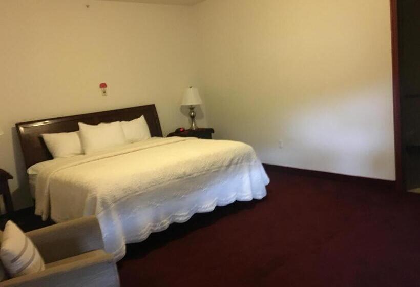 Люкс Кровать Кинг, Greenwood Village Inn & Suites