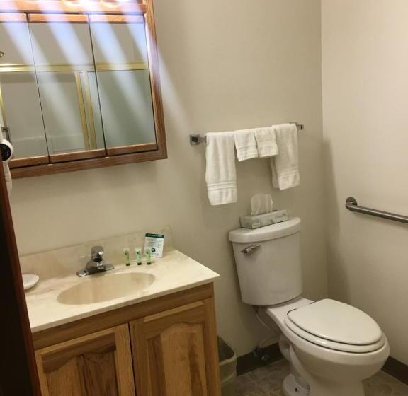 Люкс Кровать Кинг, Greenwood Village Inn & Suites