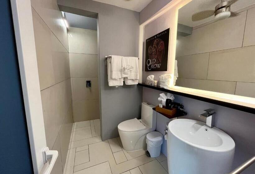 استودیوی استاندارد با چشم‌انداز دریا, Old Crow Hotel And Suites
