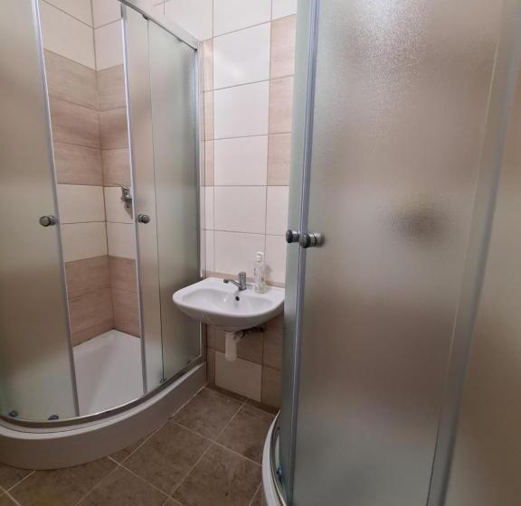 Cama em Quarto Compartilhado, Sšvp 1. Máj