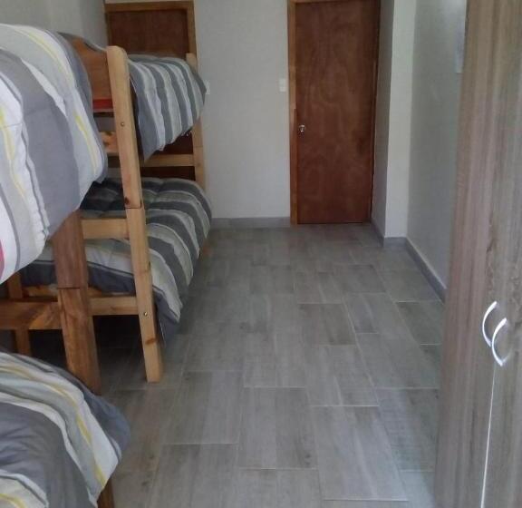 اتاق استاندارد چهار تخته, Casa Avenida Alemania