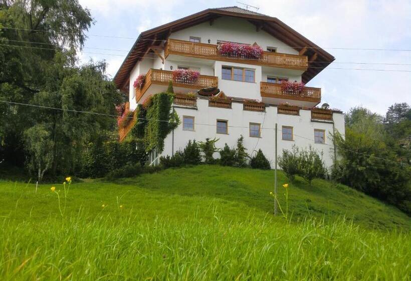 带1个卧室的带阳台的公寓, Nature Residence Telfnerhof